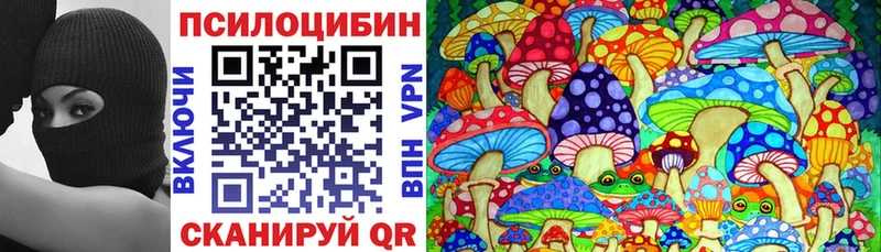 blacksprut зеркало Саранск Псилоцибиновые грибы Cubensis