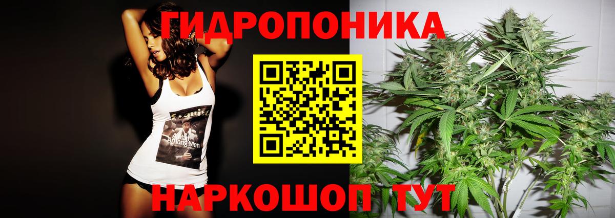 Канабис план Саранск